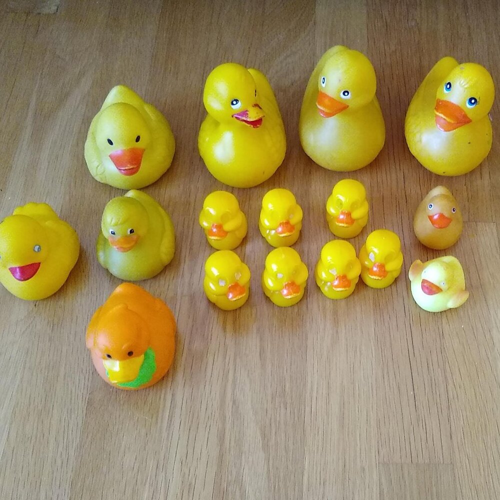 Rubber Yellow Ducks x 16 used